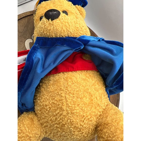 Walt Disney Winnie the Pooh 2001 Graduate Bear Soft Plush Toy Bear - Picture 12 of 16